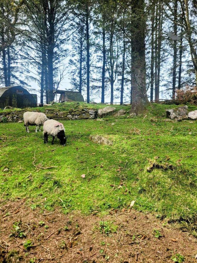 Wheal Tor Hotel & Glamping Лискард Екстериор снимка